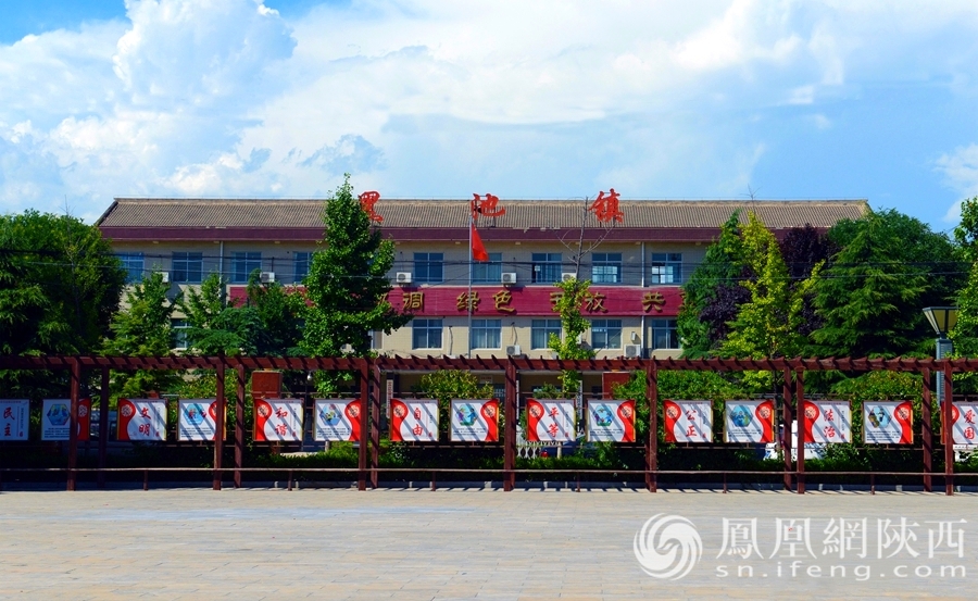 合阳县黑池镇：多举措拓展产业富民渠道 加快乡村振兴高质量发展步伐