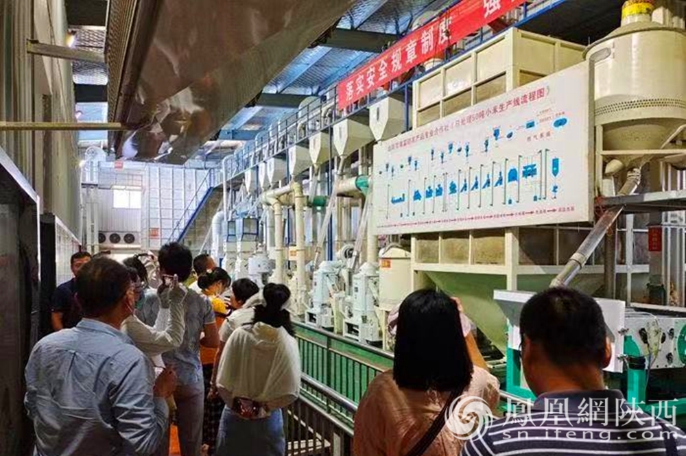 水清好米结硕果 近距离探寻合阳县经济高质量发展的新亮点