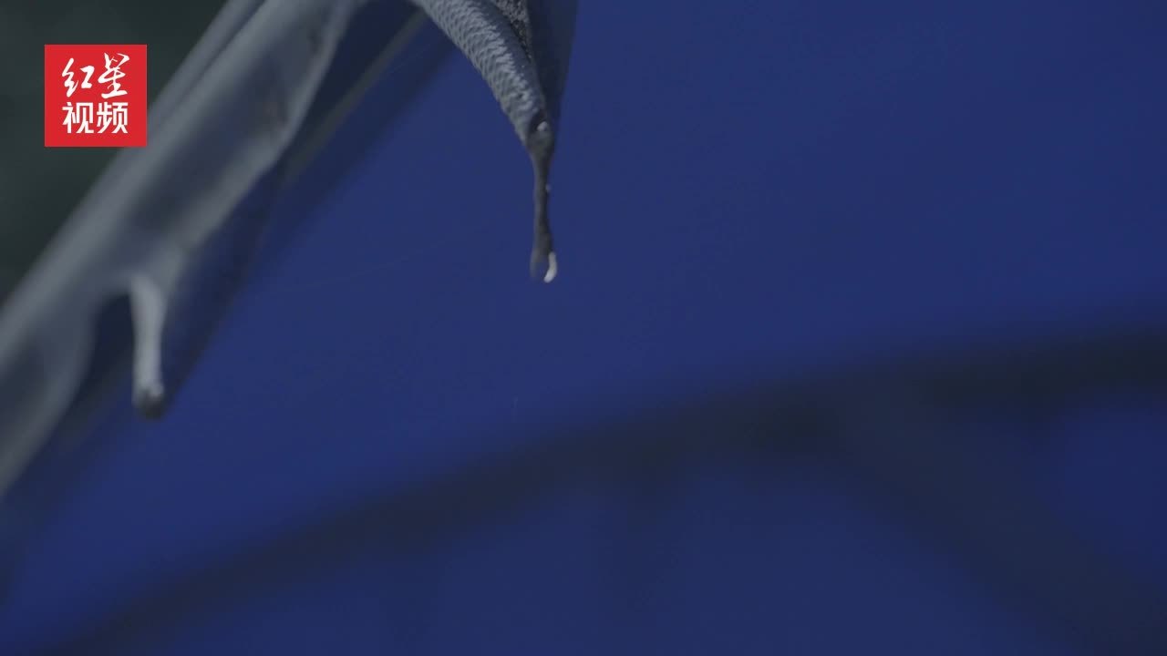 “全国公安机关爱民模范”张燕：从事公安信访工作18年，接待群众来访2万余人次