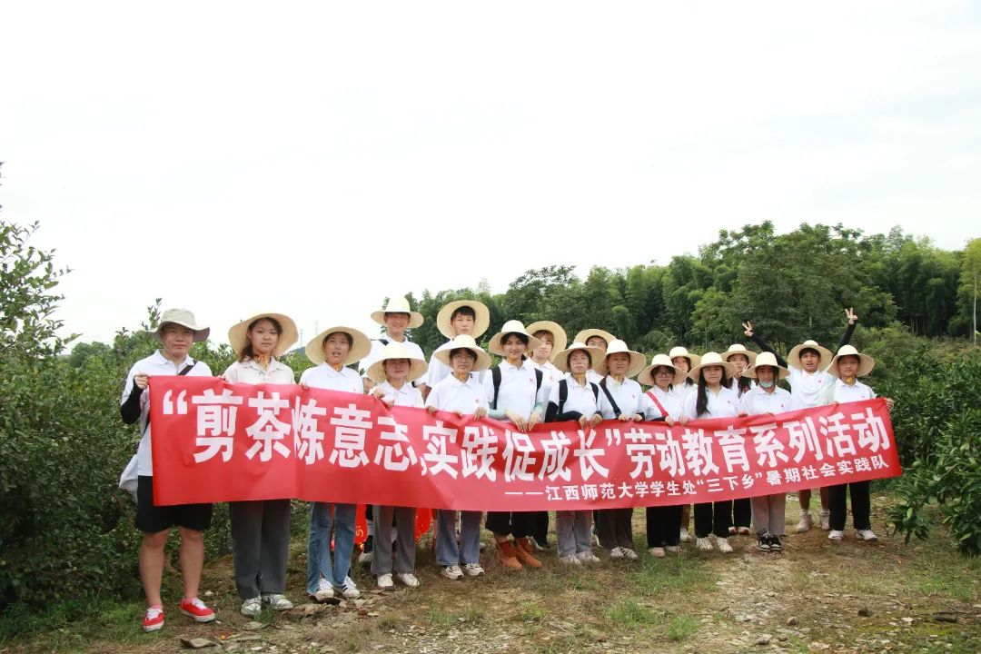情系故里“三下乡”⑤｜油茶为媒促振兴，茶旅融合筑未来