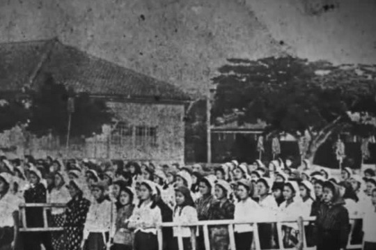 女学生也参加冲绳岛战役？揭秘二战中的“姬百合学徒队”
