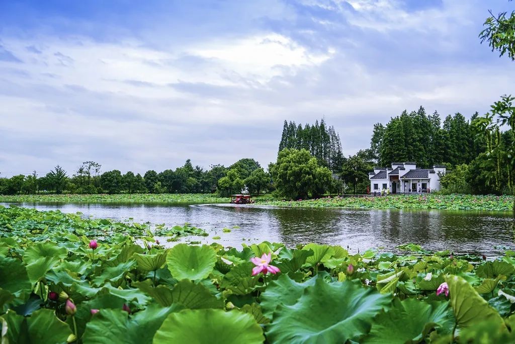 蕪湖市灣沚區夢裡水鄉(陶辛水韻景區)