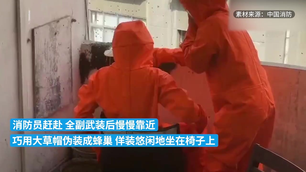 消防员用草帽转移了一窝马蜂