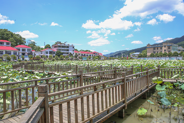 芦溪县两家5A乡村旅游图片