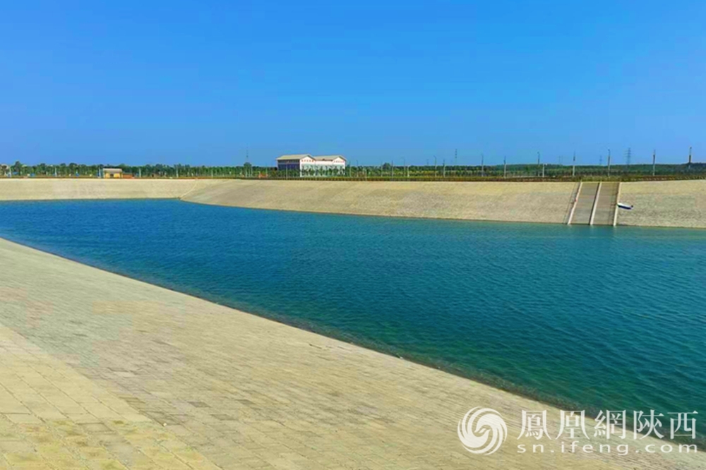 水清好米结硕果 近距离探寻合阳县经济高质量发展的新亮点