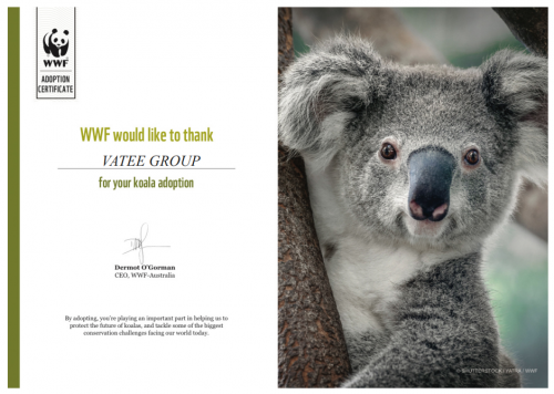 保护地球,万腾有责,vatee携手世界自然基金会为考拉安家添砖加瓦凤凰