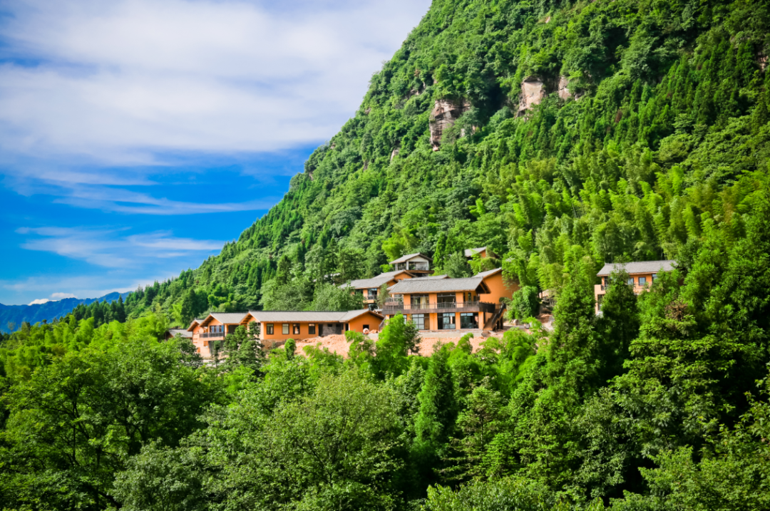 惠游江津清凉一夏四面山景区会龙庄景区面向川渝游客免费发放10000张