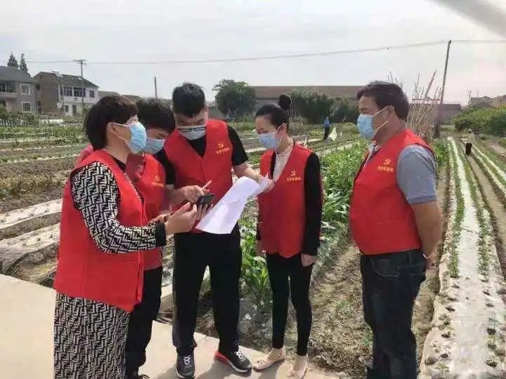 慈溪的田长们正在用“耕地智保”巡田。