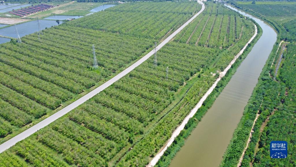 这是在天津市西青区拍摄的天津绿色生态屏障（2022年7月7日摄，无人机照片）。新华社记者 赵子硕 摄