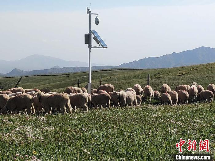 图为祁连山下的肃南裕固共享牧场24小时视频察看装置。(资料图) 裕固共享牧场供图