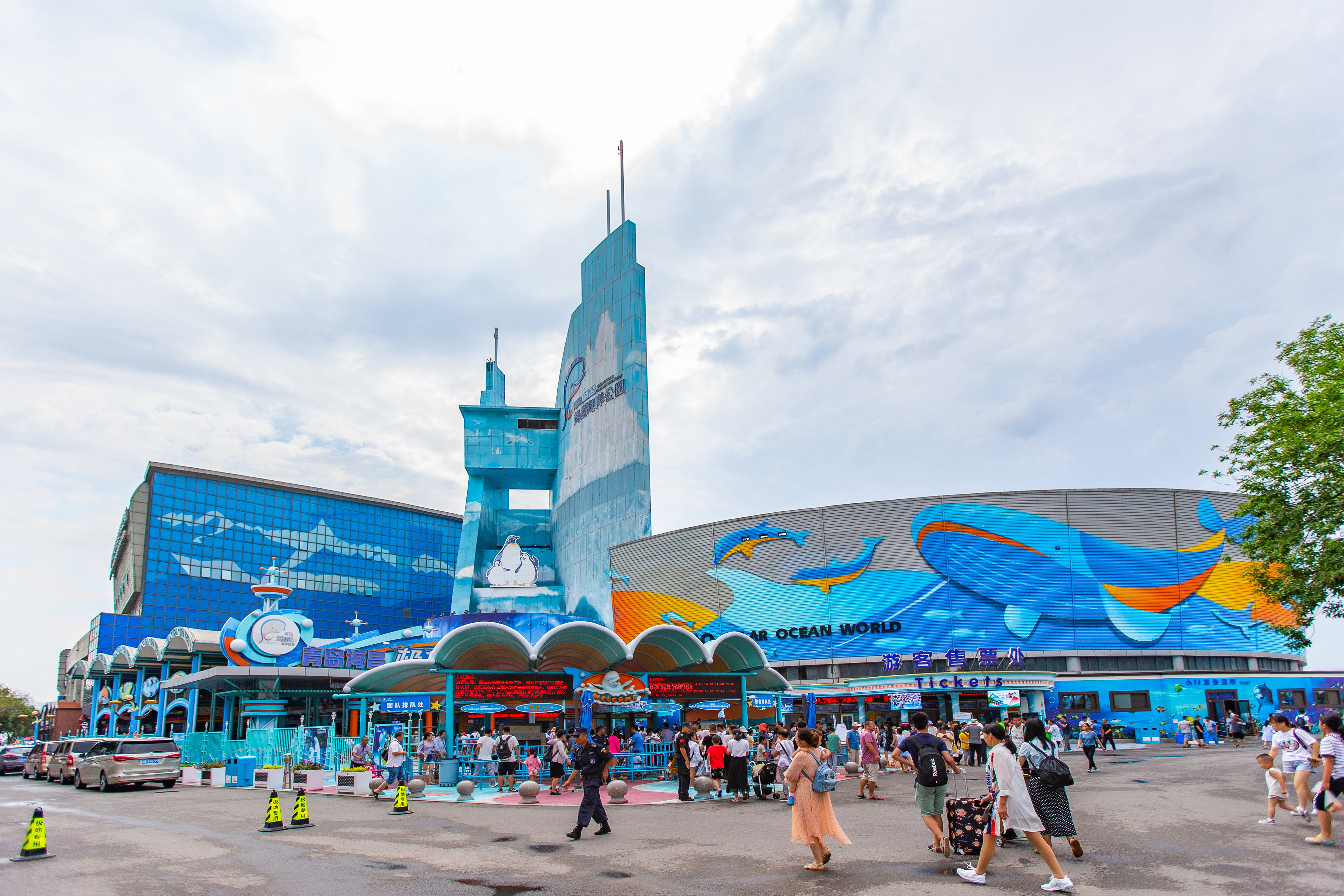 青岛海昌极地海洋公园与神州租车再度联手释放暑期超值权益