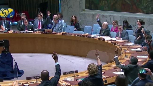 联合国安理会表决通过对叙利亚人道援助决议 英美法3国弃权投票