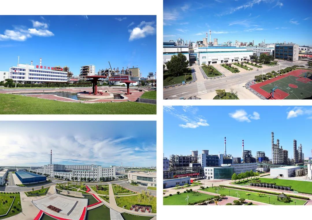 三友化工连续13年入围财富中国500强