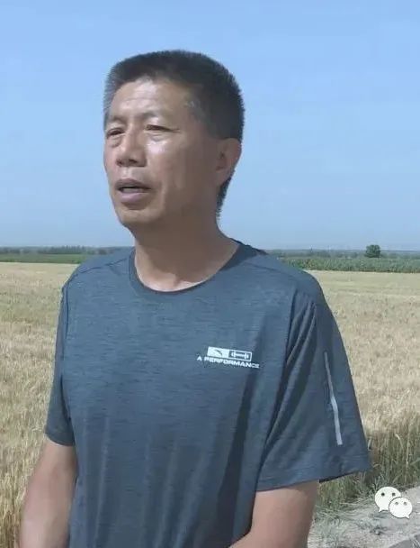 景泰县农业技术推广中心农技站站长 张好新