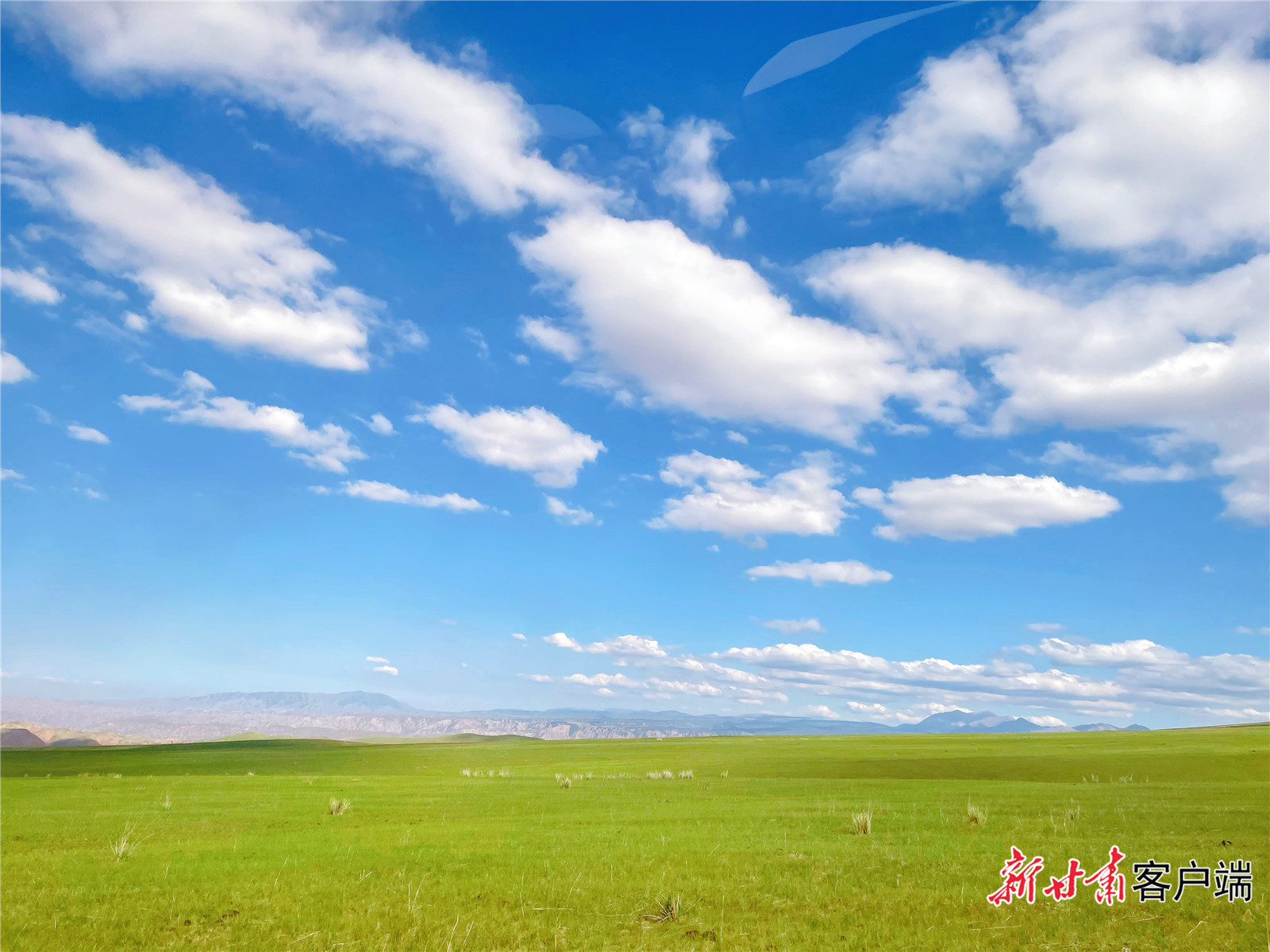 康乐草原风光旖旎 新甘肃&middot;甘肃日报记者 李永萍 摄