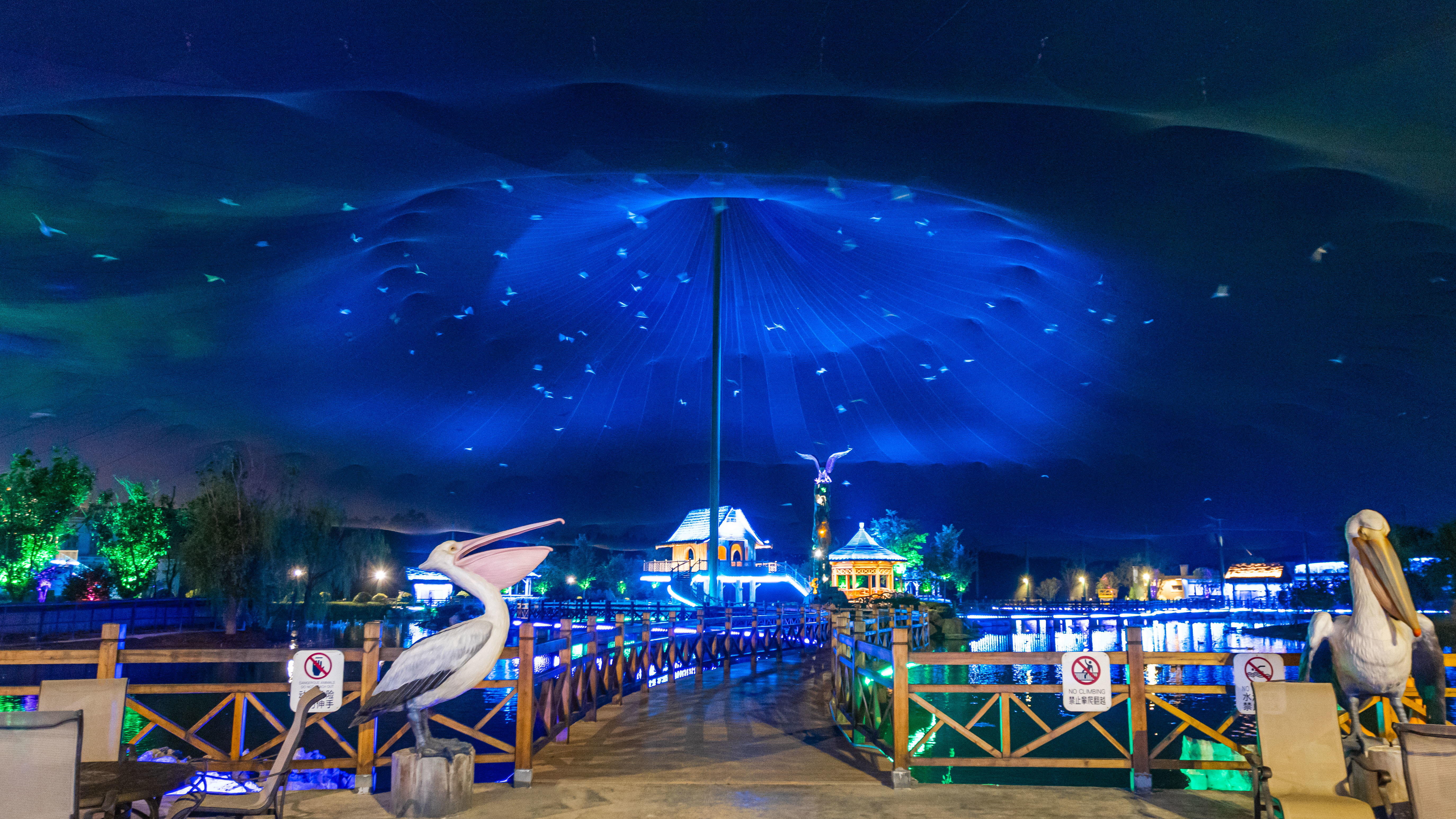 欧乐堡动物王国萌宠奇妙夜开启夏日夜游狂欢