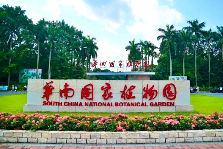 华南地区第一个!世界最大的南亚热带植物园今日在广州揭牌
