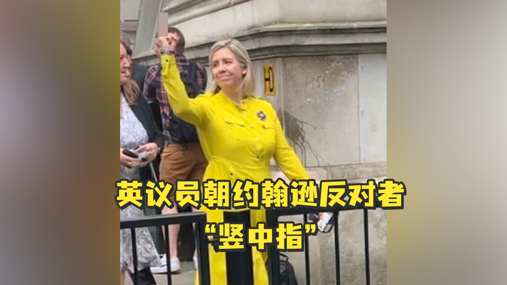英议员朝约翰逊反对者“竖中指”,24小时后当上教育官员,引发不满_凤凰网视频_凤凰网