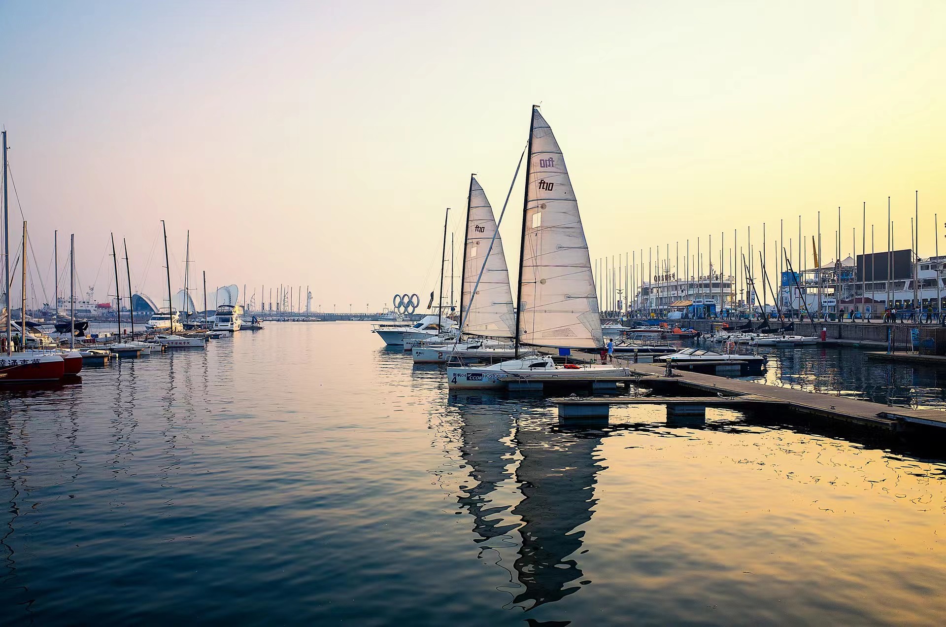 金葵花20年：招行做对了什么