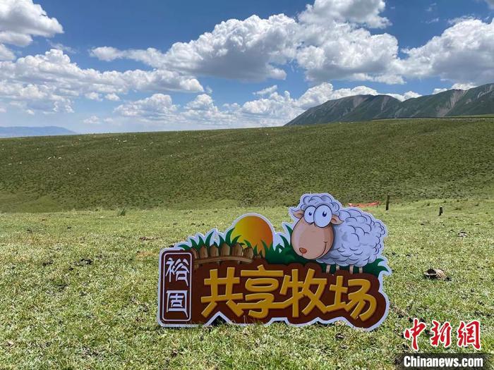 图为祁连山下的肃南裕固共享牧场。(资料图) 裕固共享牧场供图
