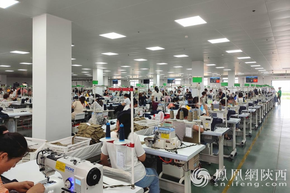 渭南白水县:制衣厂带动就业 “六稳六保”政策见成效
