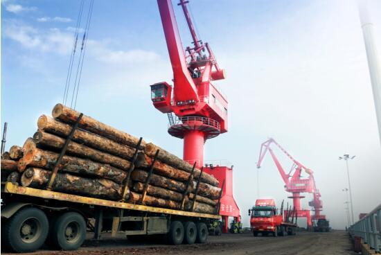 瑞昌市林业局：擦亮绿色“底色”绘出生态画卷