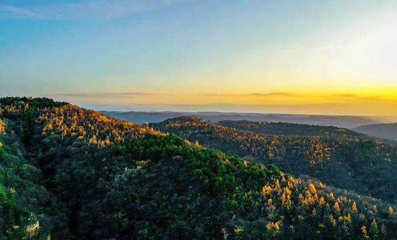 庆阳：用古老讲述厚重与风华 用红色诉说和谐美好