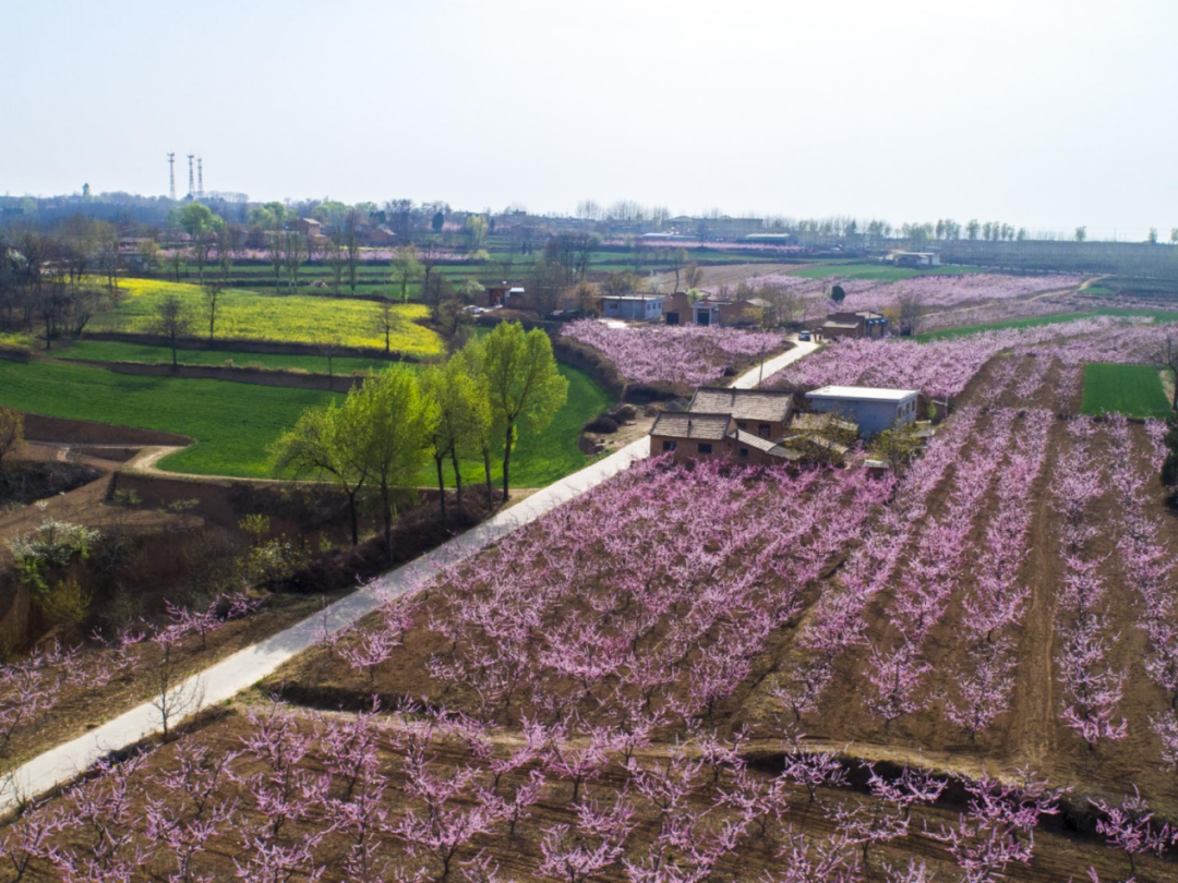咸阳市淳化奏响乡村生态振兴四部曲