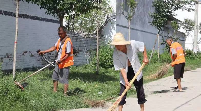 柘城胡襄镇：创新“四步”工作法，掀起人居环境综合整治热潮