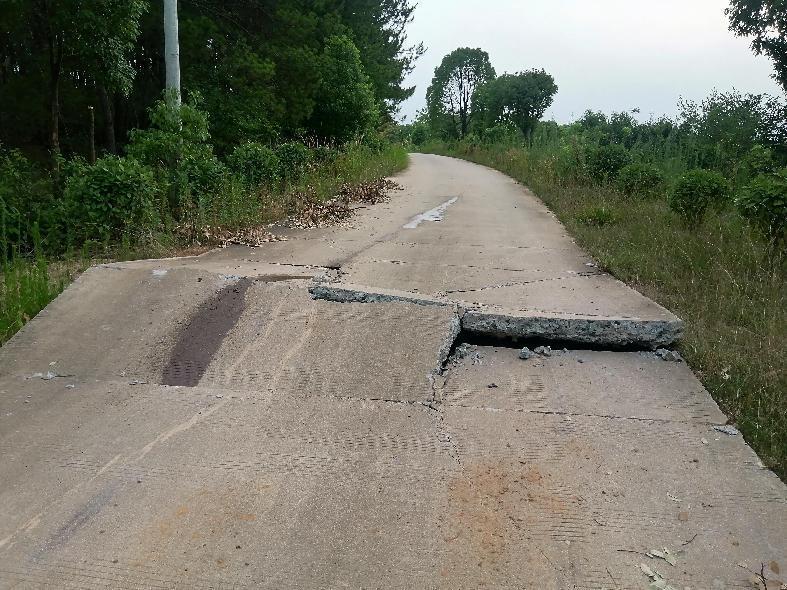 安徽桐城市范岗镇樟枫村高温致路面变拱桥村委会迅速组织修复