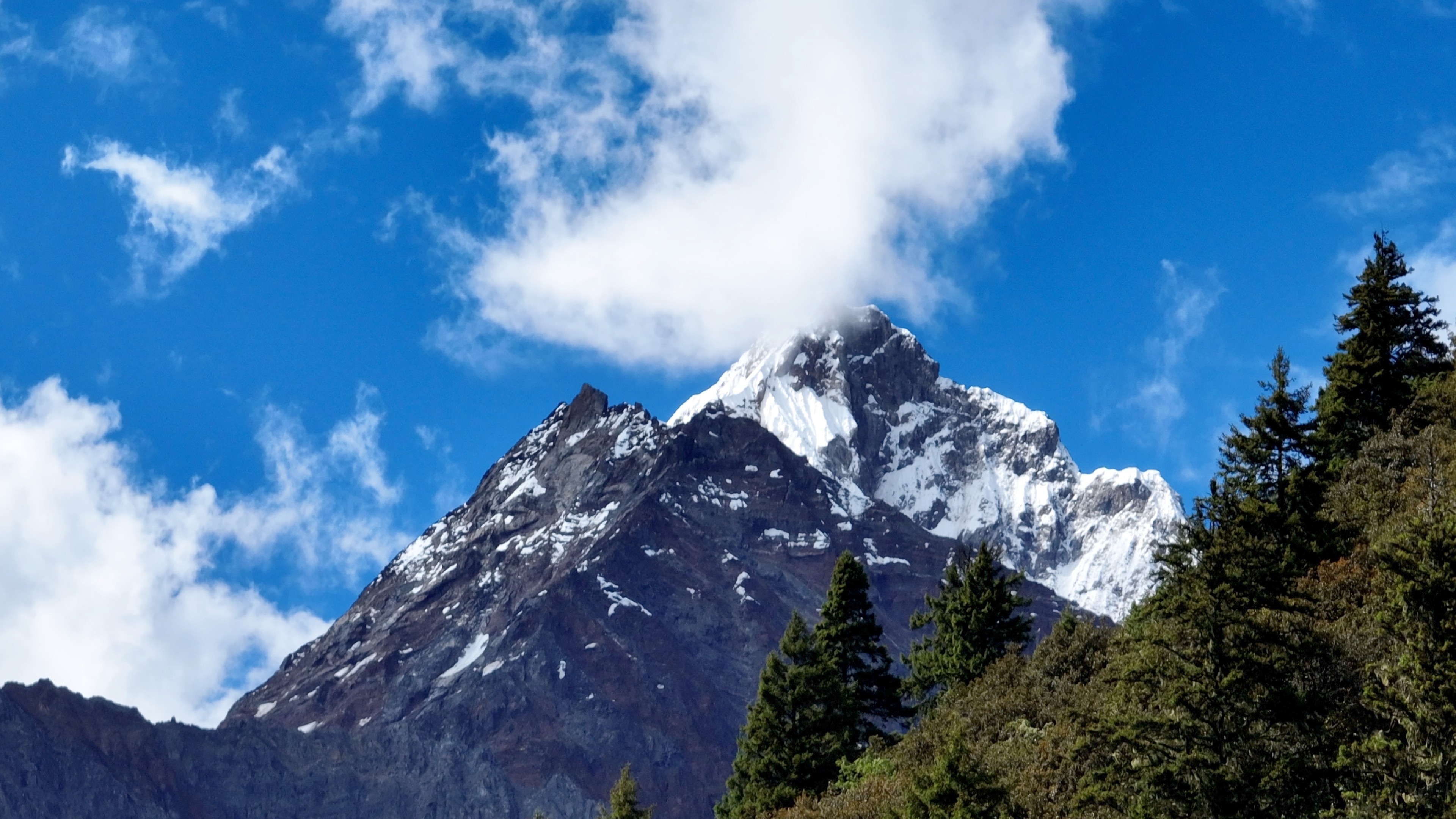 航拍视角饱览西藏林芝绝美风景:青山碧水与雪山同框