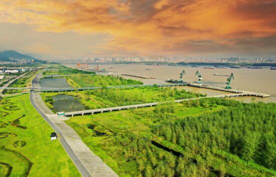 瑞昌市林业局：擦亮绿色“底色”绘出生态画卷