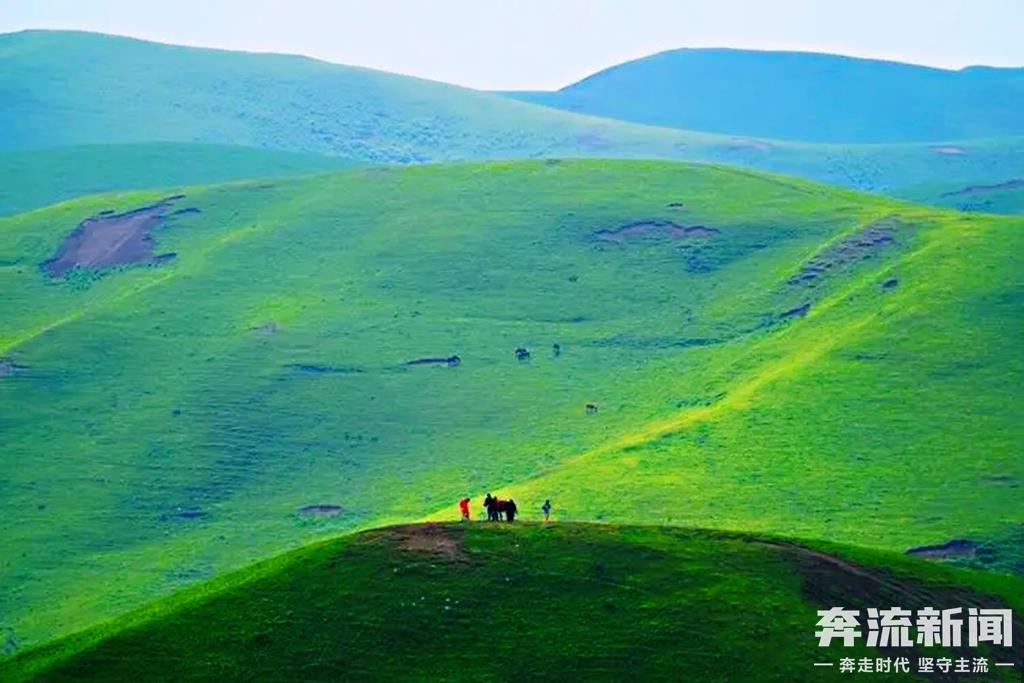 ▲美丽的古坡草原