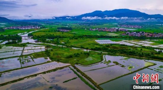 小龙虾基地等特色种养项目掩映在山水云雾之间，成为乡村振兴的美丽风景线。　赵春亮 摄