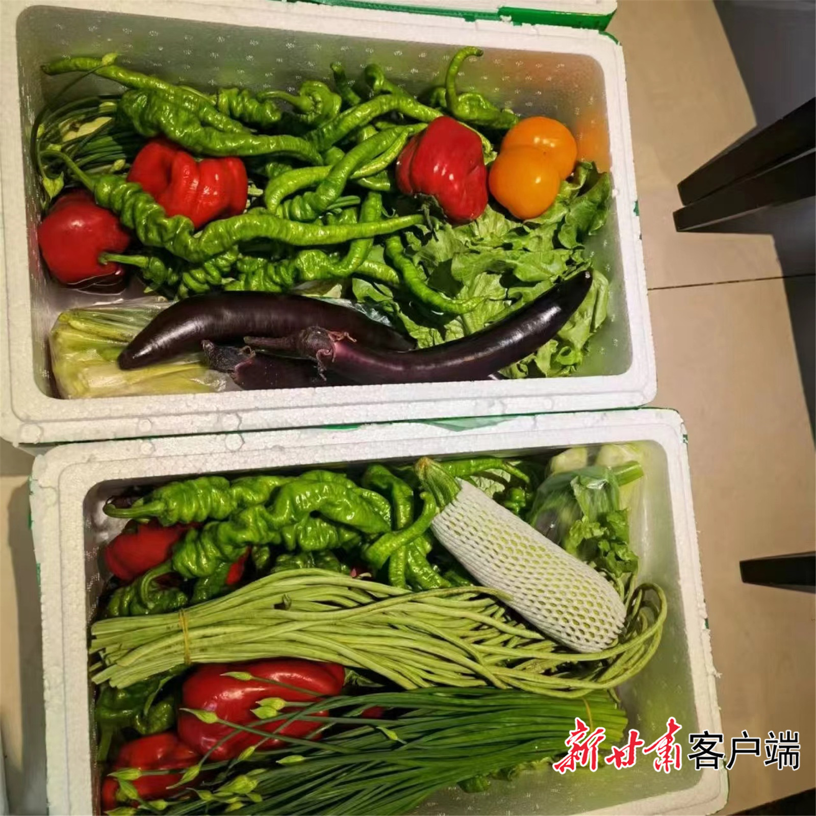 居民收到的蔬菜箱菜品新鲜