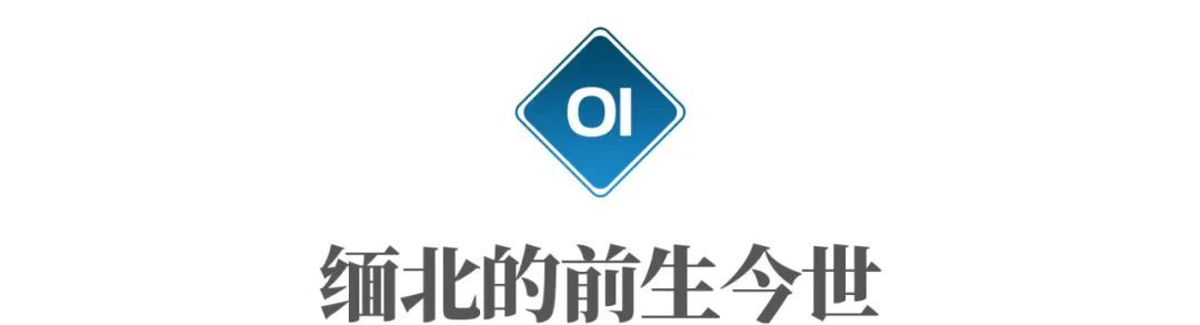 这里生活着100万华人,为什么成了坑害同胞的“犯罪天堂”?