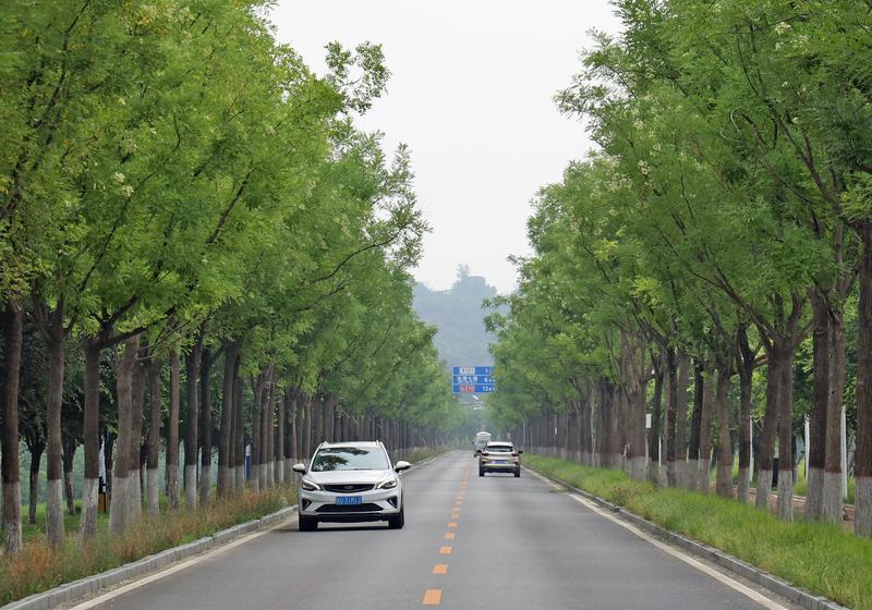 风景优美的渭河堤防路