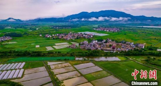 盛夏时节，景色秀美。　赵春亮 摄