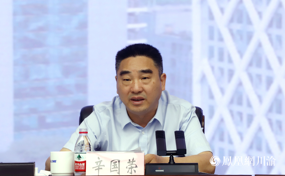 重庆机电集团党委书记、董事长辛国荣讲话