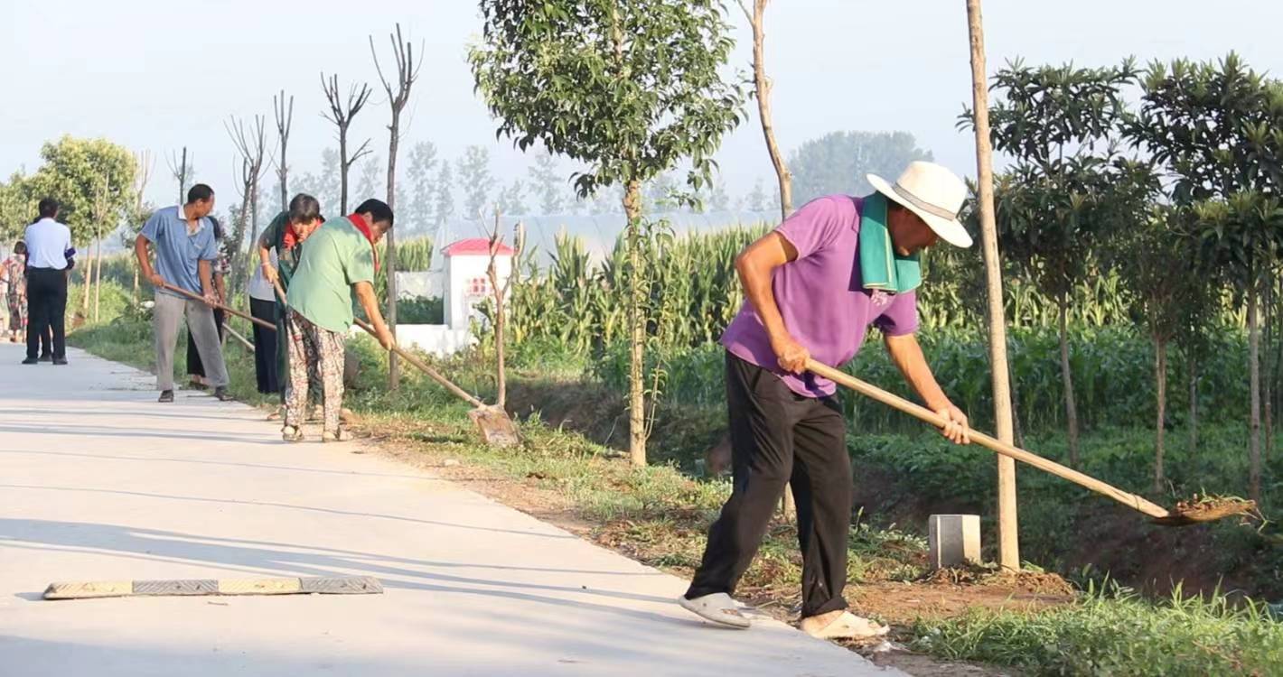 柘城胡襄镇：创新“四步”工作法，掀起人居环境综合整治热潮