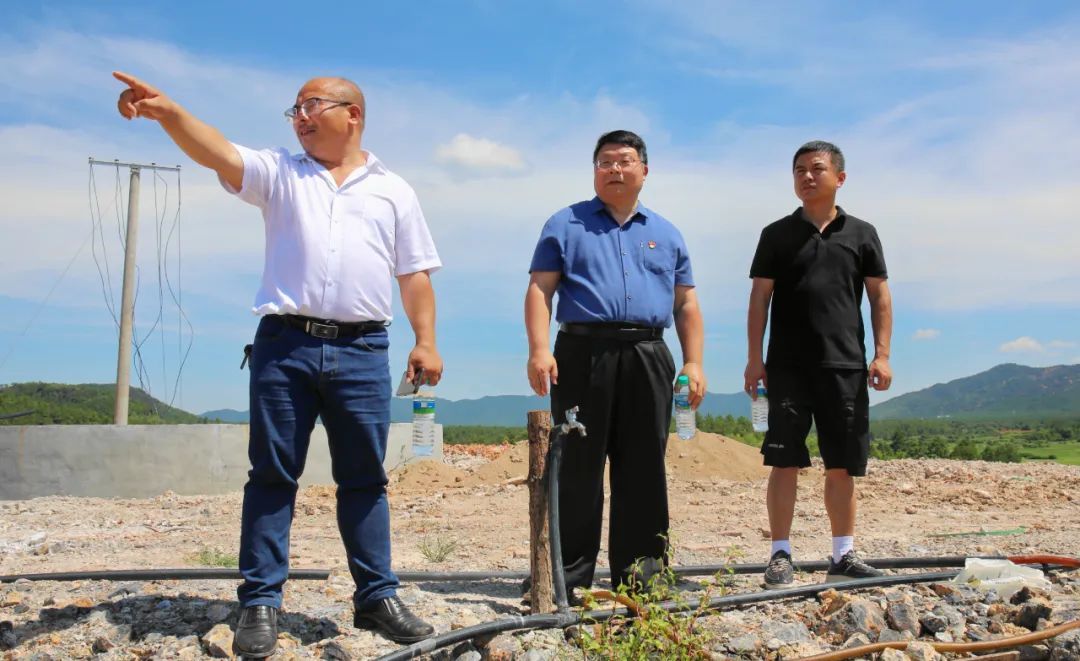 彭平:乡村振兴担使命 为民服务守初心