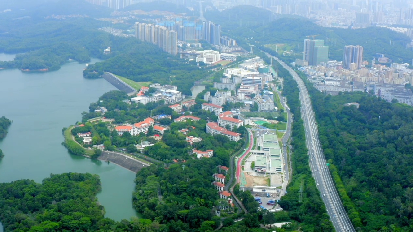 相聚"桃花源"!深圳宝安向全球高端创新企业发出邀请帖