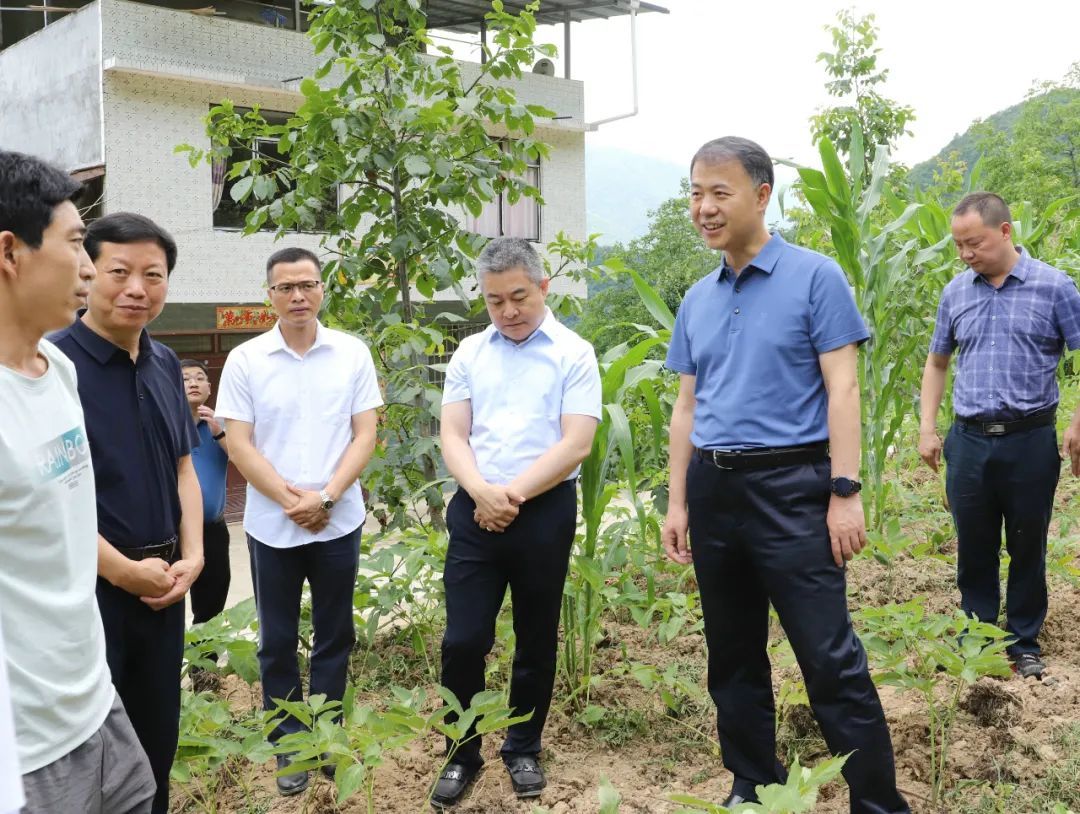 赞！赞！赞！《2020年中国美丽休闲乡村名单》出炉！城口再添1个！-上游新闻 汇聚向上的力量