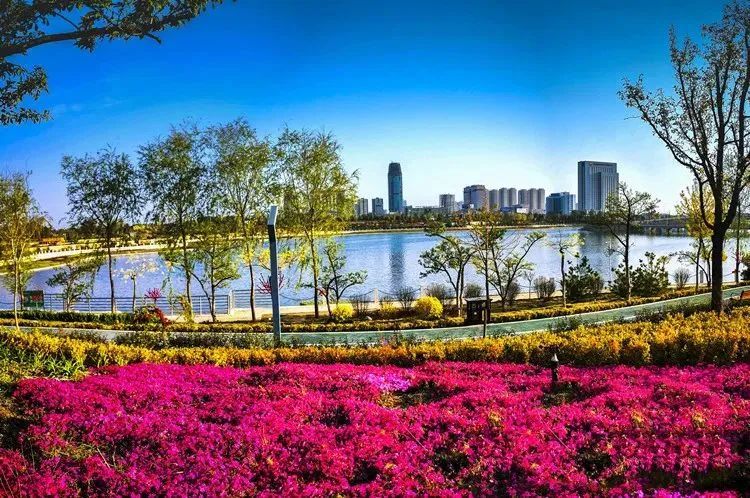 庆阳：用古老讲述厚重与风华 用红色诉说和谐美好