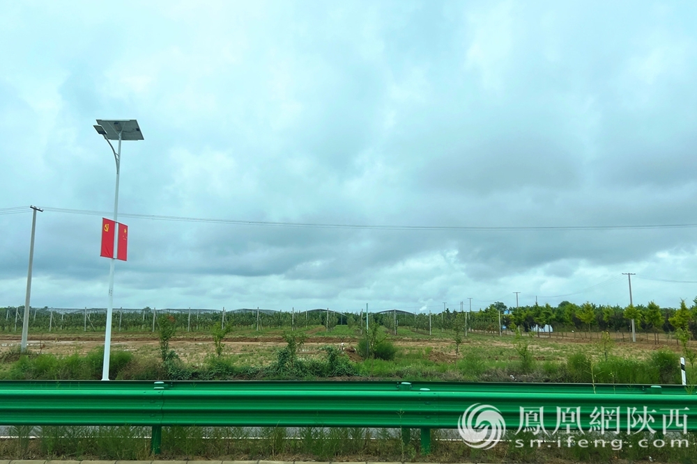 渭南白水县:党建引领走出刘家卓村乡村经济高质量发展之路