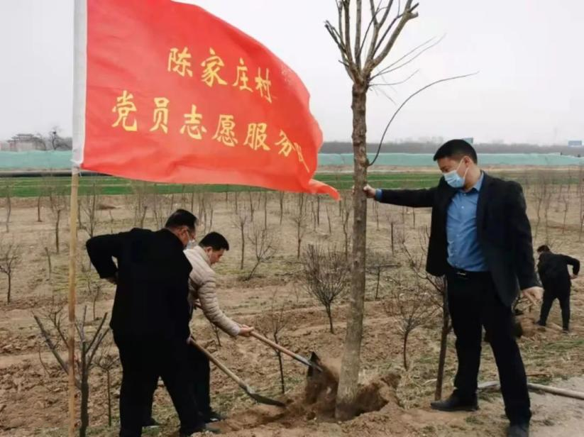 党员志愿者开展义务植树活动