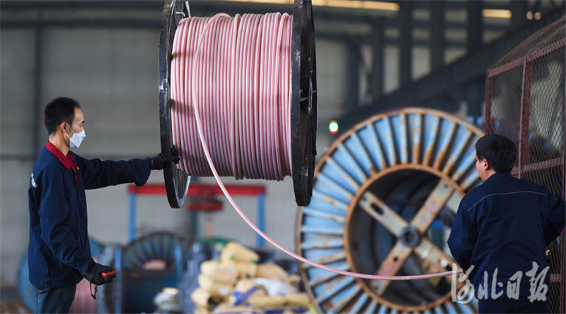 近日，河北省宁晋县佰汇电缆有限公司工人在忙生产赶订单。该公司引进异形线缆生产技术，生产的高压交联电缆、耐火电缆、屏蔽电缆、通讯电缆等十几个系列100多个品种上千个规格的产品，畅销京津等地，并出口“一带一路”沿线多个国家。河北日报记者赵永辉摄