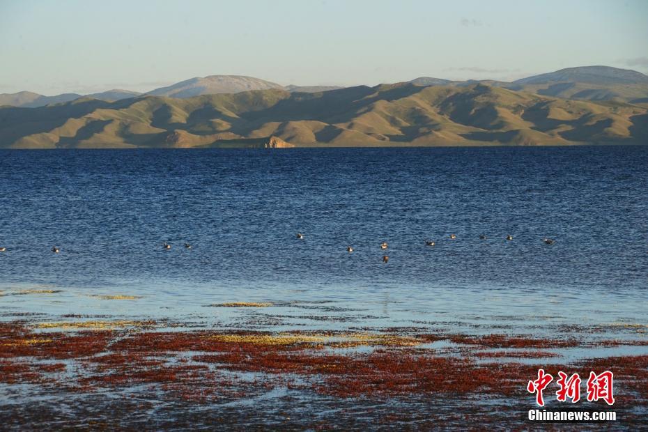 冬格措纳湖夏日美景如画