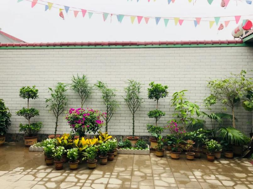 村民的美丽庭院
