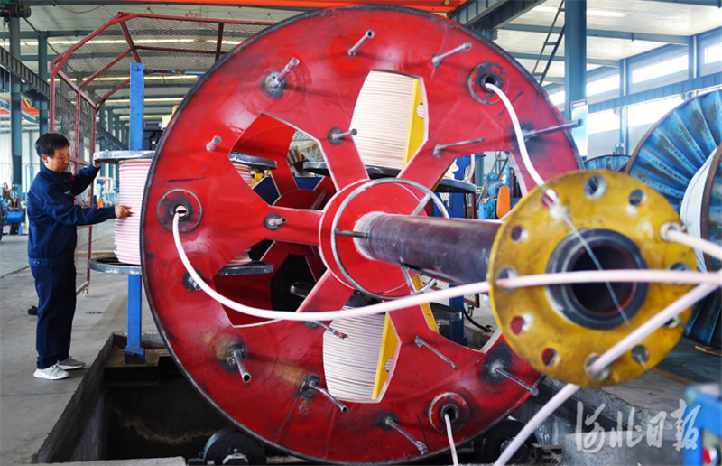 近日，河北省宁晋县佰汇电缆有限公司工人在加工线缆产品。河北日报记者赵永辉摄